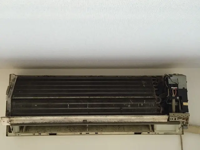 宮崎発【日本ハウスクリーニング認定】女性スタッフ対応可！安心エコ洗剤を使用サービスの画像