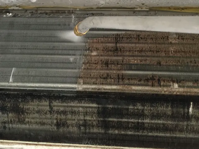 宮崎発【日本ハウスクリーニング認定】女性スタッフ対応可！安心エコ洗剤を使用サービスの画像