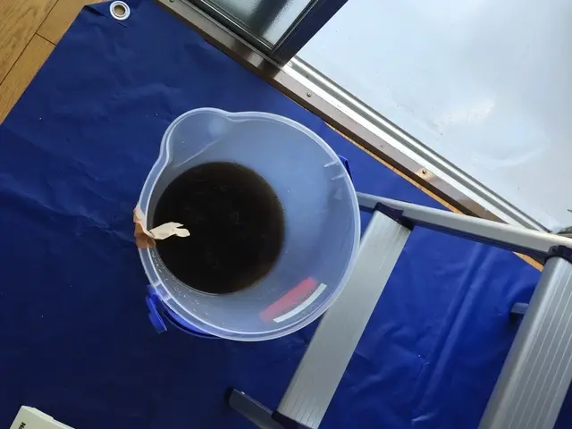 宮崎発【日本ハウスクリーニング認定】女性スタッフ対応可！安心エコ洗剤を使用サービスの画像