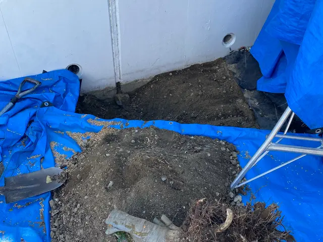 既存ののシンボルツリーに満足されてますか？　和み園芸が理想に近づけます。サービスの画像