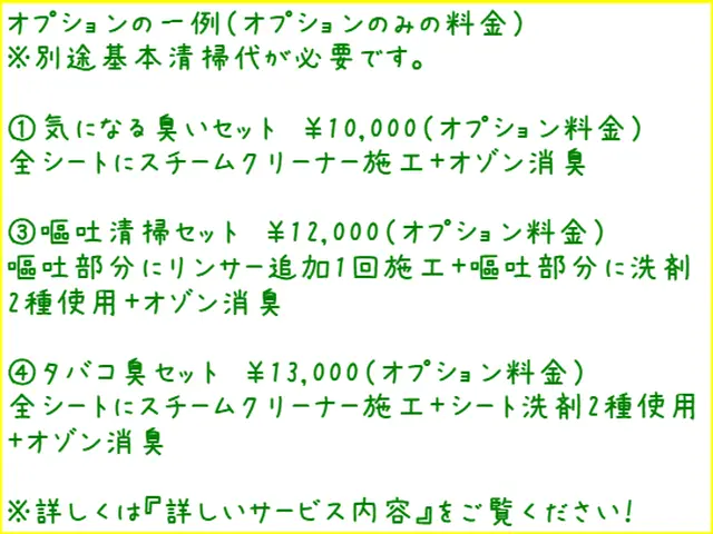 「車内クリーニング」の口コミと実績多数！汚れと臭いをスッキリ！嘔吐&ペット対応可サービスの画像