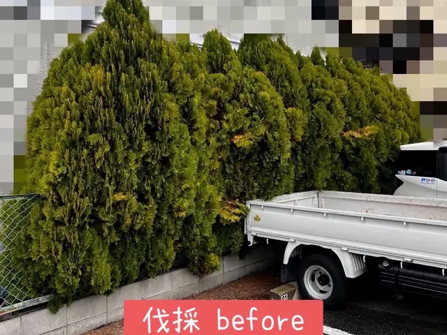 【年中無休で伺います】低木〜高木等、他業者に断られた木もお気軽にご相談ください！サービスの画像