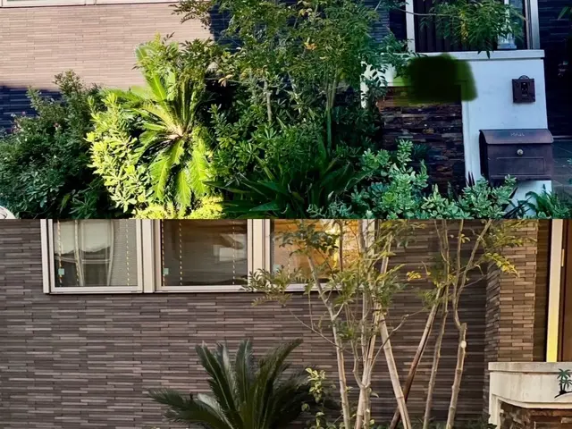 樹形を大切にする庭木剪定｜自然な仕上がりサービスの画像