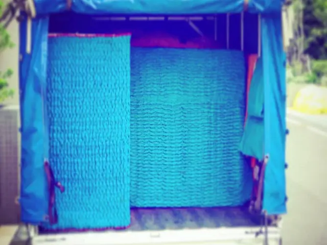 国土交通省認可 自総230号　貨物保険完備　引越しはおまかせ下さい。[関東発着]サービスの画像