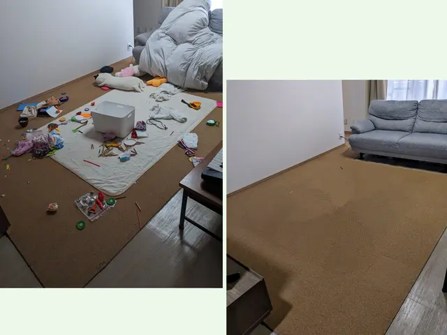 キャンペーン価格！看護師×２児ママ｜子供～シニアまで「すぐに片付く」が得意サービスの画像