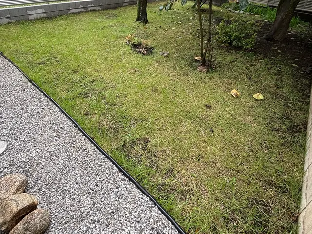 豊富な経験と知識で安心！仕上がり重視で丁寧に作業いたします！サービスの画像