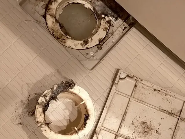 年始特別価格提供☆サービスの画像