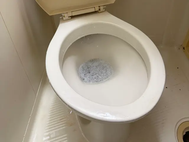 4月 新生活 新春応援価格★サービスの画像