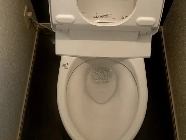 年始特別価格提供☆サービスの画像