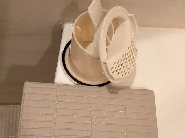 年始特別価格提供☆サービスの画像