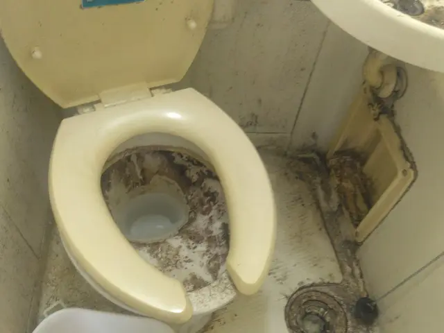 4月 新生活 新春応援価格★サービスの画像