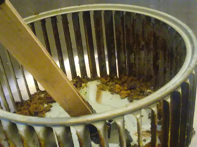 平日限定！安心価格！《追加料金ナシ》非喫煙者／お子様安心／ペットもOK！サービスの画像