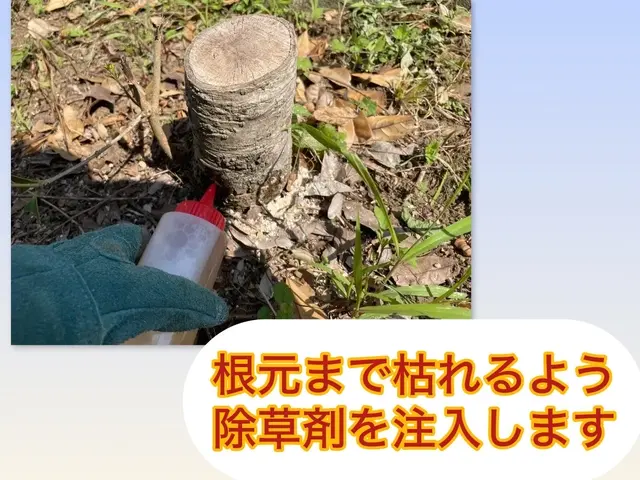 プロの技術でご満足いただけるように心を込めて作業いたしますサービスの画像