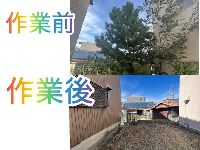 【無料見積りOK】庭木の伐採・抜根｜安全・丁寧作業サービスの画像