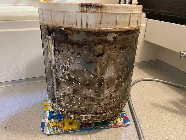 【今だけこの価格】匂いカビ汚れ解決します！追加料金無し土日祝対応◎クレジット払いサービスの画像