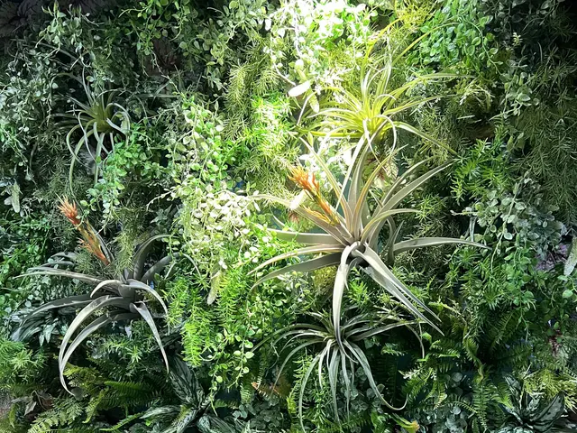 実績10年のスタッフが丁寧で納得の作業をさせていただきます。サービスの画像