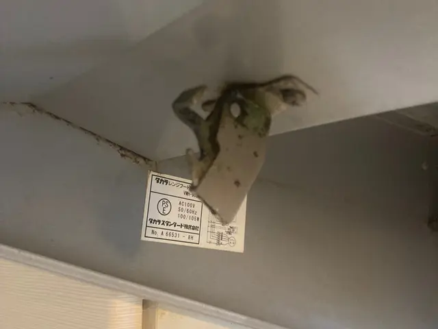 とにかく丁寧に油汚れ落とします！★女性同行可★サービスの画像