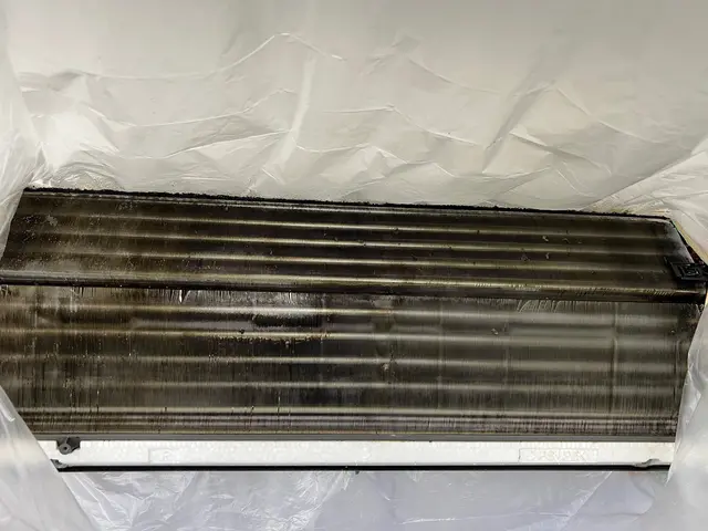 ◆岩手沿岸地域対応◆防カビコート剤無料塗布！徹底的にクリーニング致します！サービスの画像