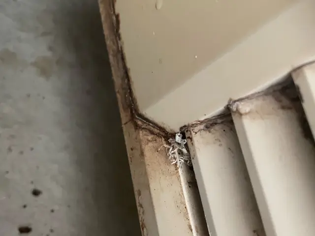 素早い作業と丁寧な仕上がり！経験と知識を活かして迅速丁寧に作業いたします！サービスの画像