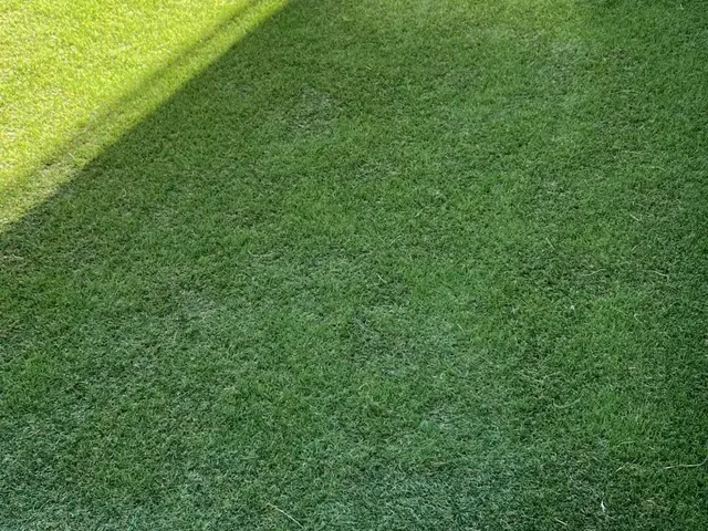 プロの技術でご満足いただけるように心を込めて作業いたしますサービスの画像