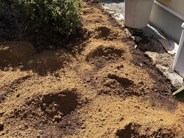 親戚から天然芝直送！確かな技術で土壌からしっかり改良！緑になるまで保証いたしますサービスの画像