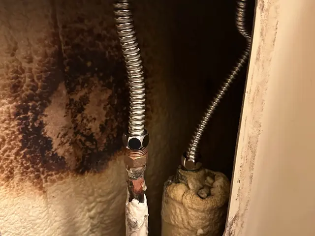 浴室水栓交換！サービスの画像