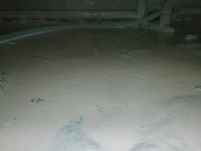 床下シロアリ検査、シロアリ駆除、床下清掃サービス、床下消毒土、床下消毒木製、サービスの画像