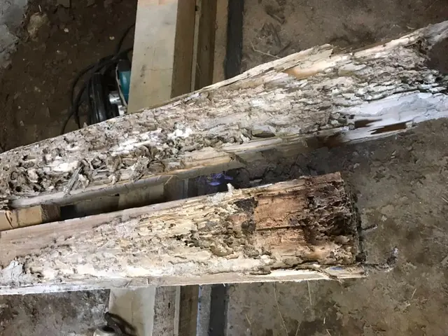 床下シロアリ検査、シロアリ駆除、床下清掃サービス、床下消毒土、床下消毒木製、サービスの画像