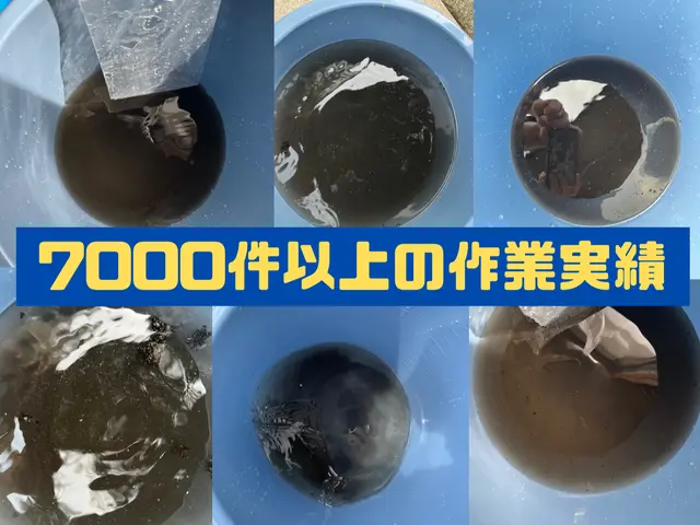 ■完全分解専門店■◇【防虫キャップ】無料キャンペーン中！虫が入り込まない！サービスの画像