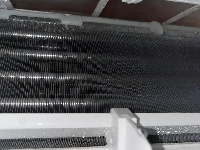 ■完全分解専門店■◇【防虫キャップ】無料キャンペーン中！虫が入り込まない！サービスの画像