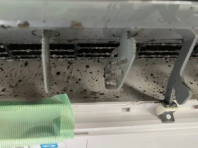 ■完全分解専門店■◇【防虫キャップ】無料キャンペーン中！虫が入り込まない！サービスの画像