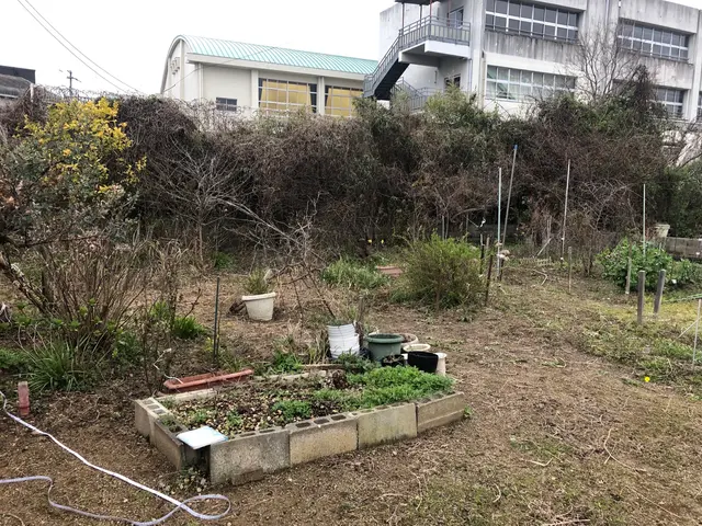 防草シートサービスの画像