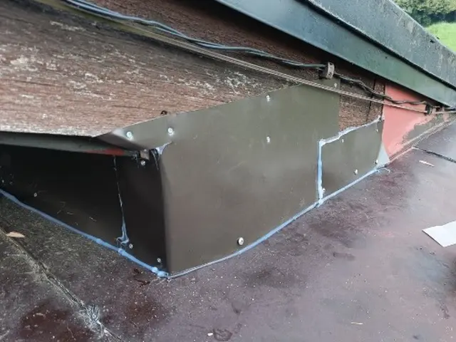 【業界経験30年以上の経験と実績】ころさない害獣防除(一般家庭対象)サービスの画像