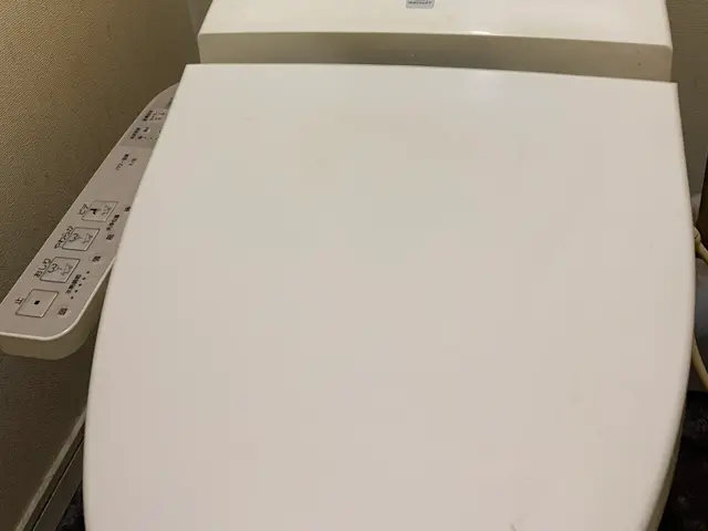 トイレ清掃☆大手ハウスクリーニング社で経験ありの店長がお伺いサービスの画像