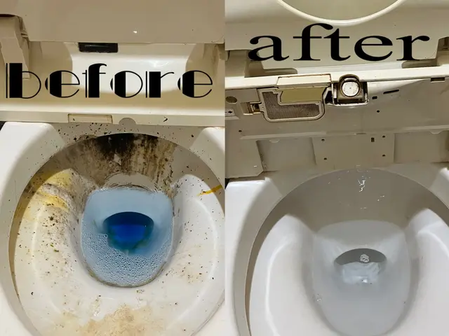 トイレ清掃☆大手ハウスクリーニング社で経験ありの店長がお伺いサービスの画像