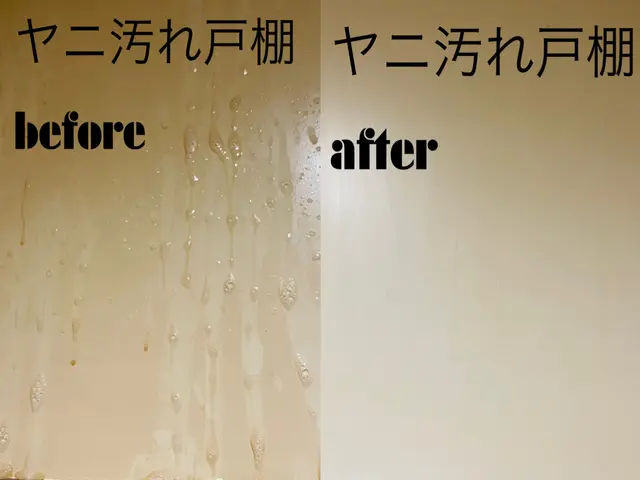 トイレ清掃☆大手ハウスクリーニング社で経験ありの店長がお伺いサービスの画像