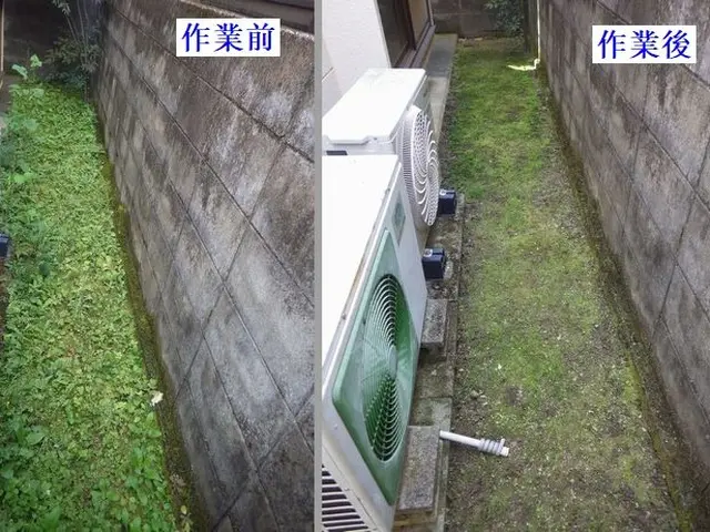 草引きでスッキリ！お庭に新しい風を！10平米未満では発生ごみ回収費込みです。サービスの画像