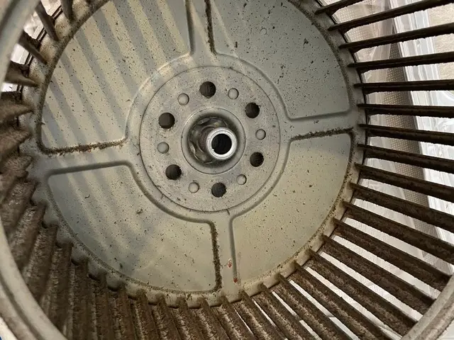 特別キャンペーン！11月中にご予約頂いたお客様限定価格になります！サービスの画像