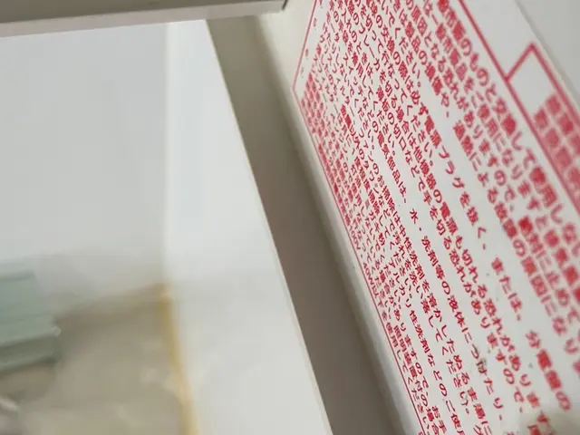 特別キャンペーン！11月中にご予約頂いたお客様限定価格になります！サービスの画像