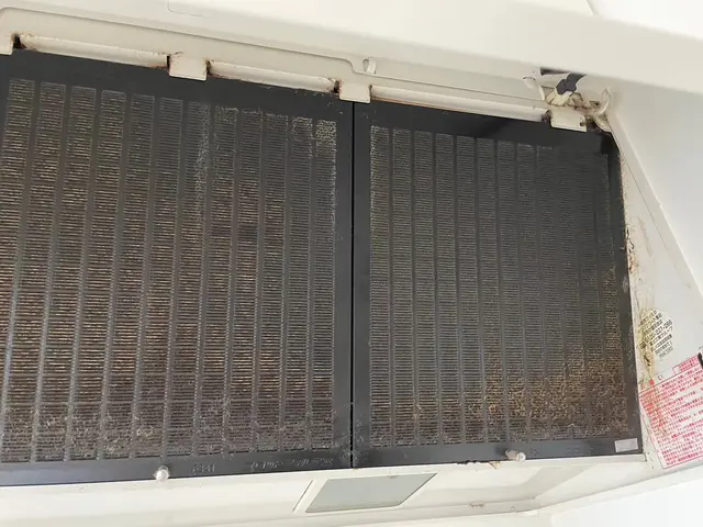 特別キャンペーン！11月中にご予約頂いたお客様限定価格になります！サービスの画像