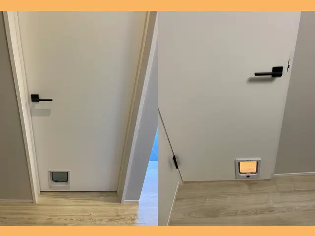 ペットドア取り付けはお任せください！経験豊富な職人店長がお伺いいたします。サービスの画像