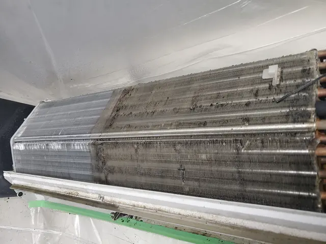 カビもニオイも徹底除去して快適な生活。エアコンクリーニング1台10000円。サービスの画像