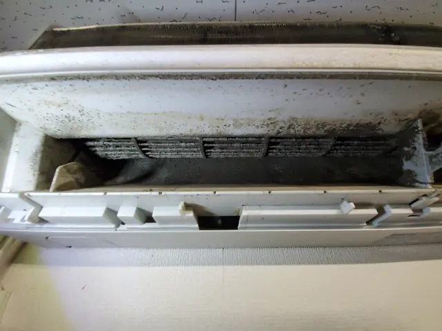 カビもニオイも徹底除去して快適な生活。エアコンクリーニング1台10000円。サービスの画像