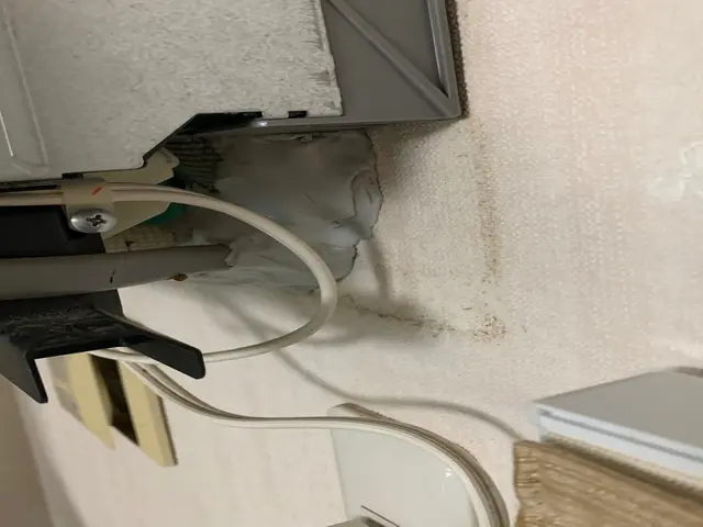 ゴキブリ見ない安心する空間を提供いたします。サービスの画像