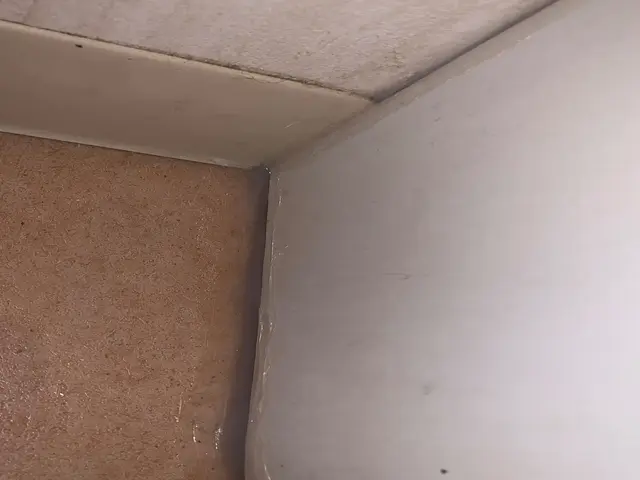 ゴキブリ見ない安心する空間を提供いたします。サービスの画像