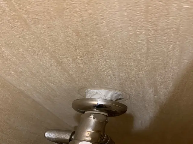 ゴキブリ見ない安心する空間を提供いたします。サービスの画像