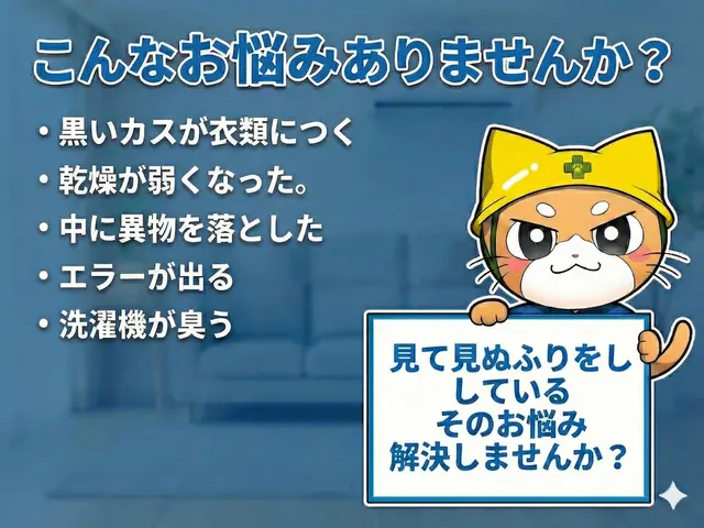【洗濯機分解クリーニング】カビカビの洗濯槽を取り出して丸洗い‼︎サービスの画像