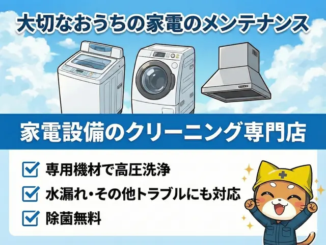 【洗濯機分解クリーニング】カビカビの洗濯槽を取り出して丸洗い‼︎サービスの画像