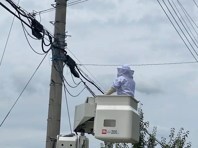 累計五千件の実績◎経験11年のプロが高所や屋根裏も徹底対応。最短当日駆けつけますサービスの画像