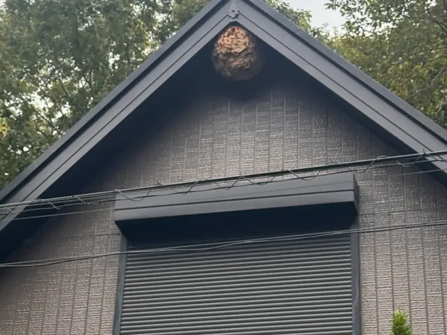 累計五千件の実績◎経験11年のプロが高所や屋根裏も徹底対応。最短当日駆けつけますサービスの画像